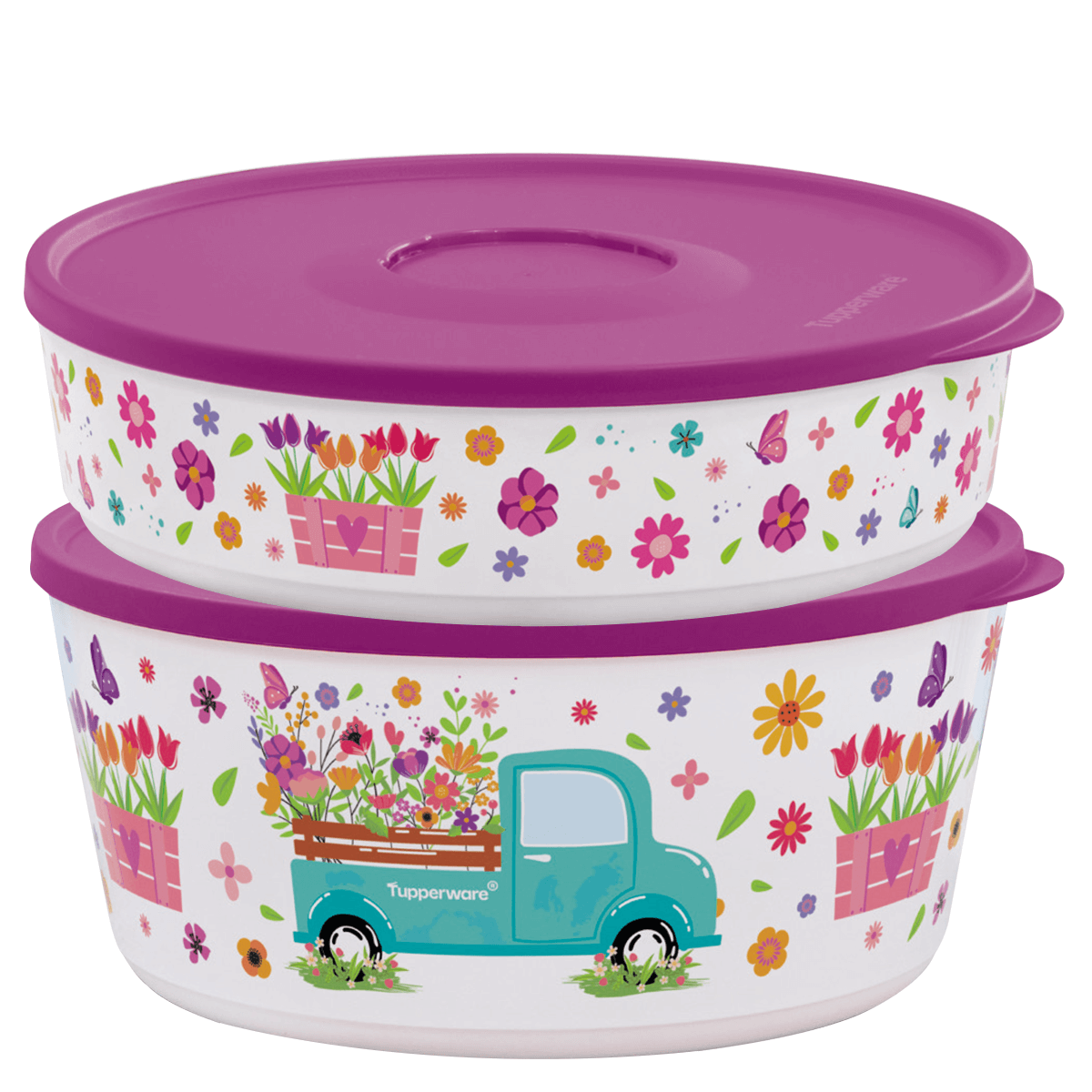 Kit Tuperware Tigela Ilúmina Caminho das Flores 2 Peças